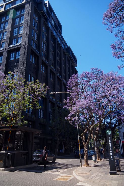 Avenida Tyrwhitt Johannesburgo