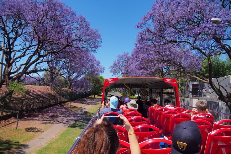 City Sightseeing de Johannesburgo