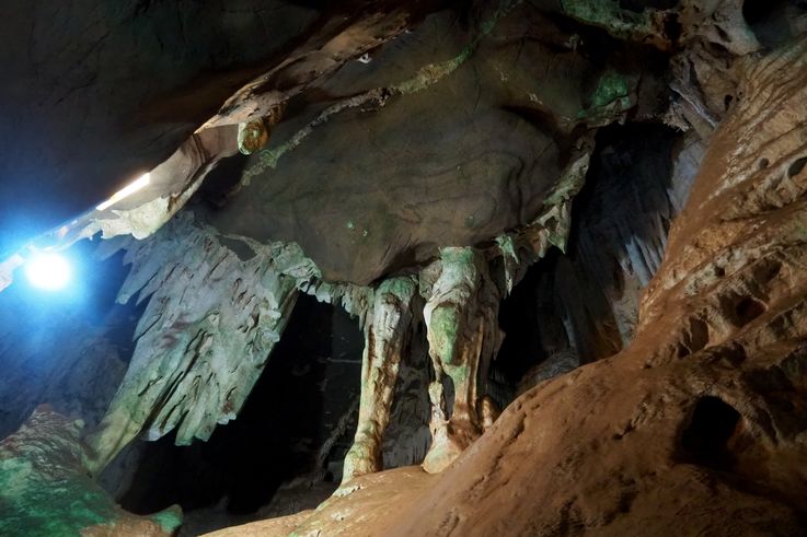 Avestruz en Cuevas Echo