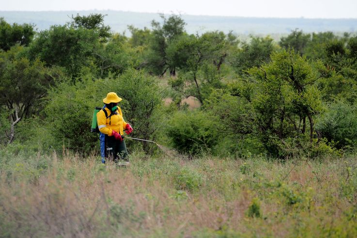 Kruger National Park