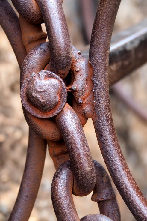 Echelles du Chain Ladders Royal Natal National Park