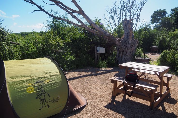 Addo Elephant Main Camp
