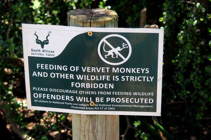 In Addo Elephant Park