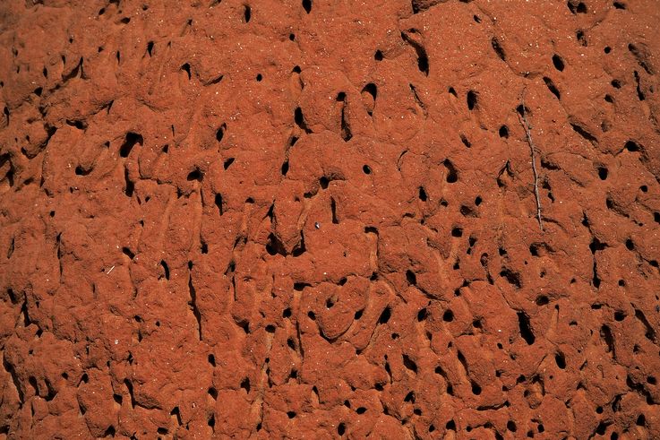 Termite mound in Addo Elephant Park
