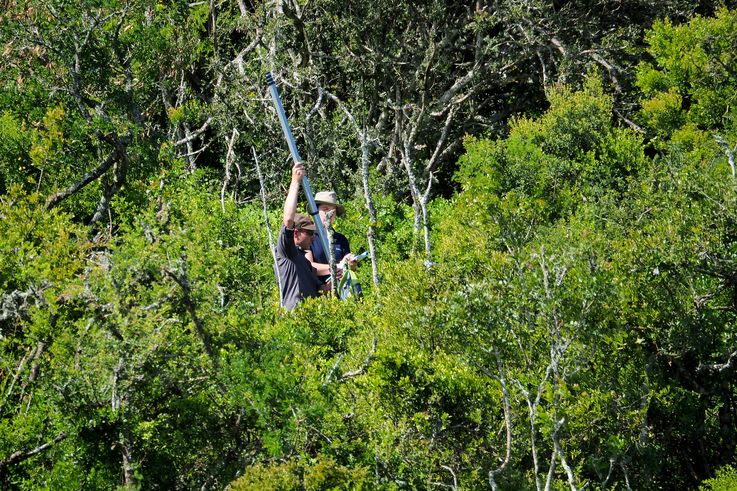 In Addo Elephant Park