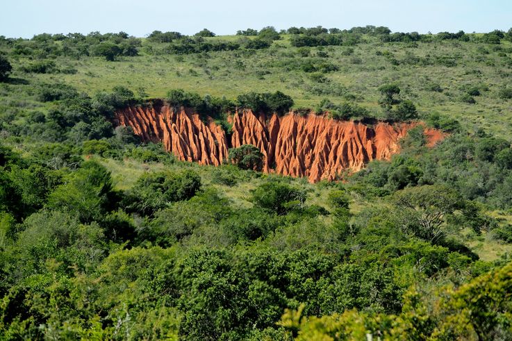 In Addo Elephant Park