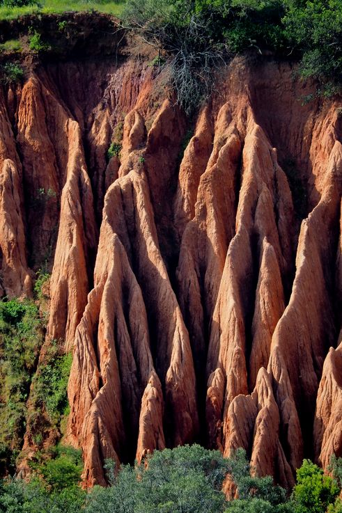 In Addo Elephant Park