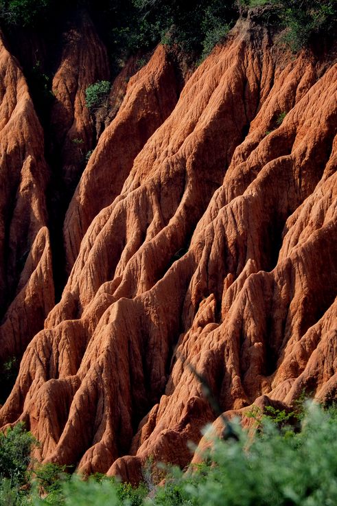 In Addo Elephant Park