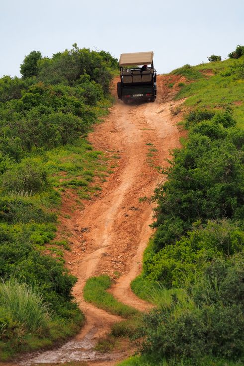 At Addo Elephant Park
