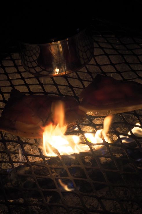 Addo Elephant Main Camp