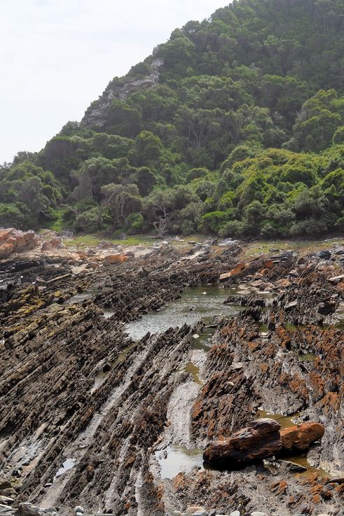 Waterfall Hike in Tsitsikamma National Park