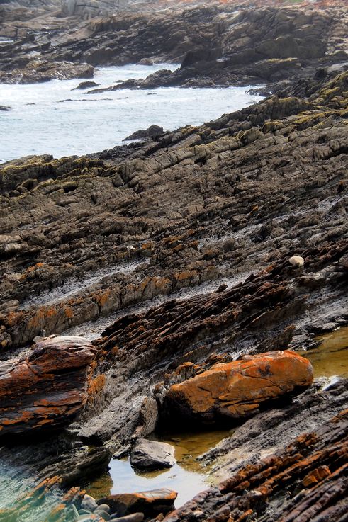 Waterfall Hike in Tsitsikamma National Park