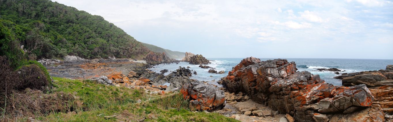 Waterfall Hike in Tsitsikamma National Park