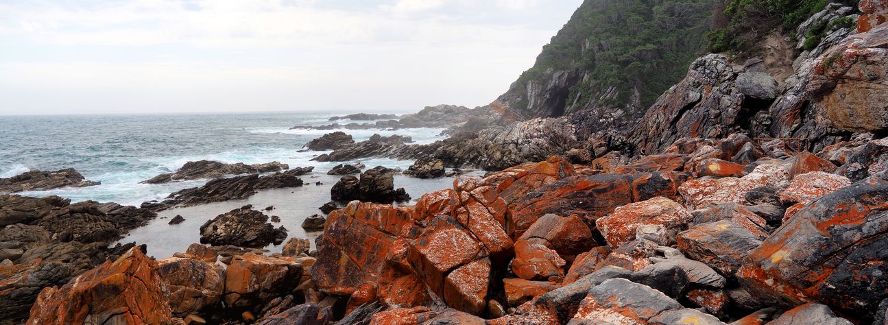 Waterfall Hike in Tsitsikamma National Park