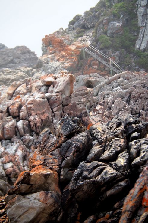Waterfall Hike in Tsitsikamma National Park