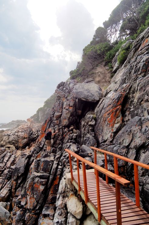 Waterfall Hike in Tsitsikamma National Park