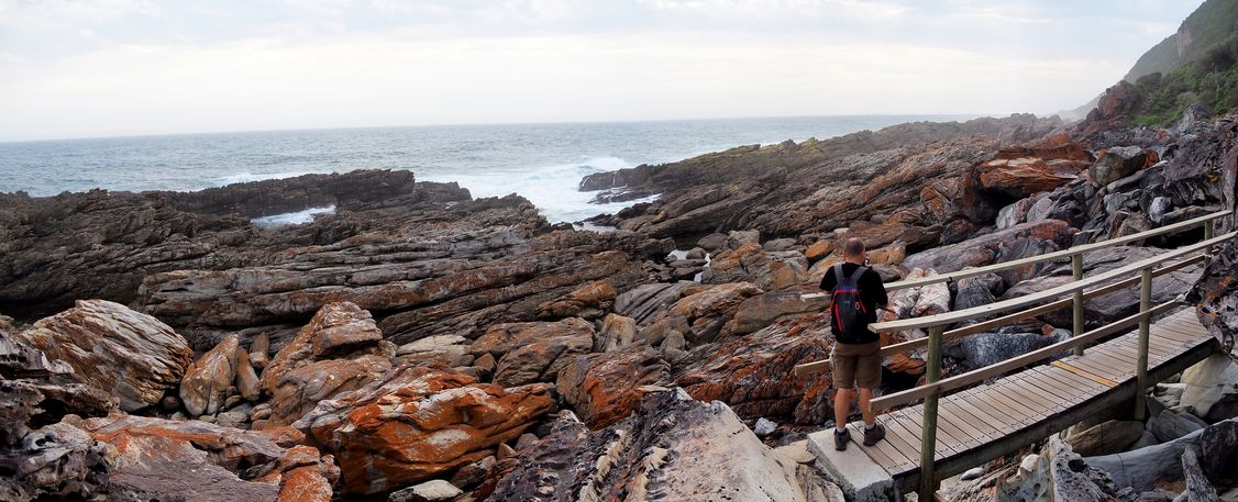 Waterfall Hike in Tsitsikamma National Park