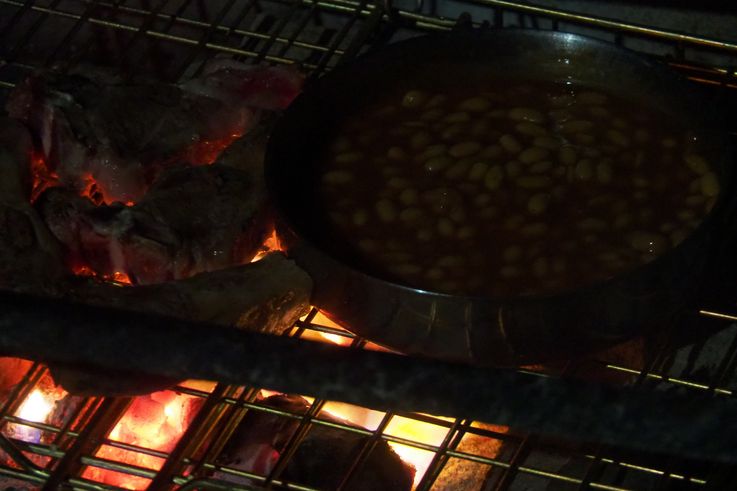 Dolphin Campsite in Tsitsikamma National Park