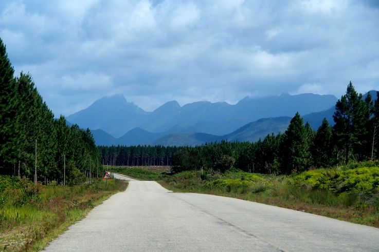 In Tsitsikamma National Park