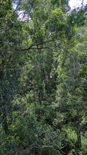 Tsitsikamma Canopy Tour