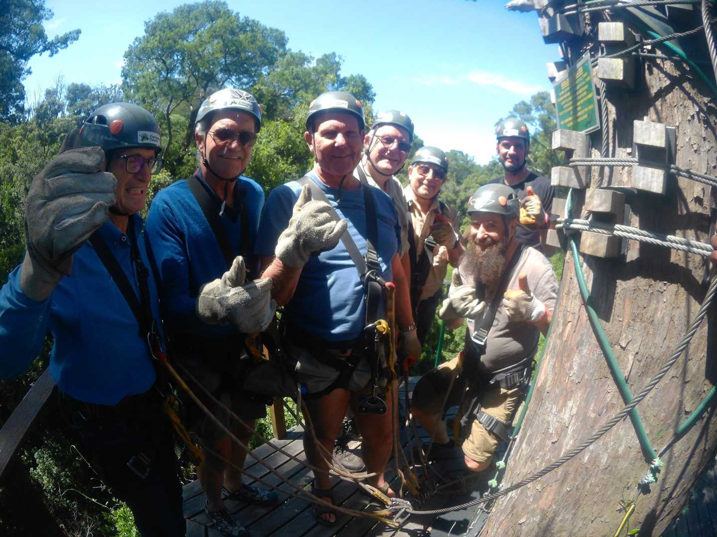 Tsitsikamma Canopy Tour