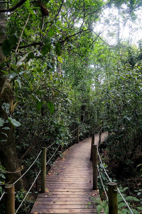 In Tsitsikamma National Park