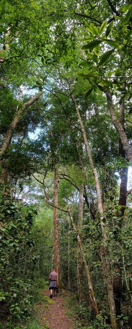 In Tsitsikamma National Park