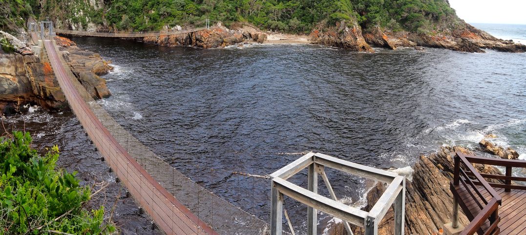 Suspension bridge in Tsitsikamma National Park