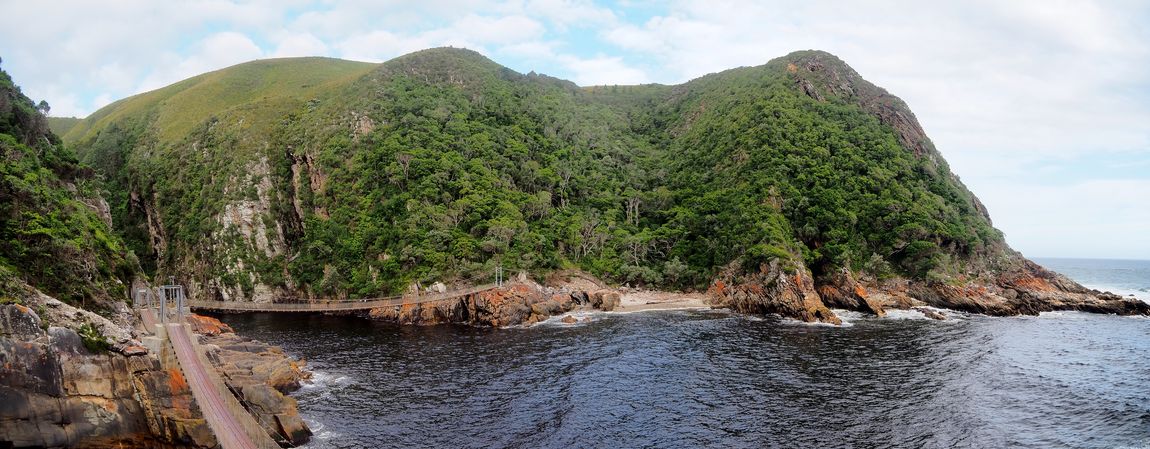 Suspension bridge in Tsitsikamma National Park