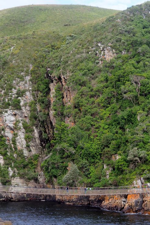 In Tsitsikamma National Park