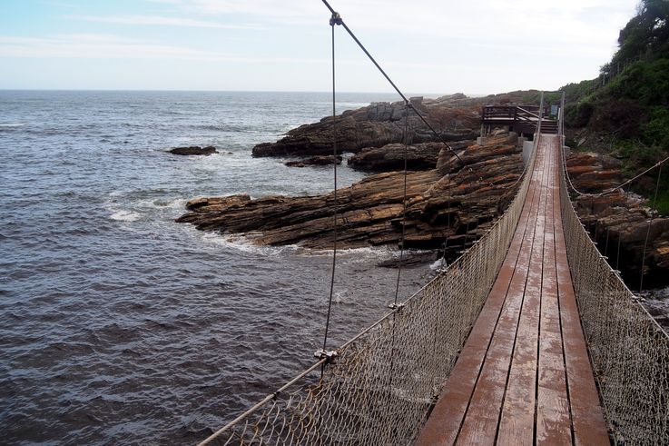 Suspension bridge in Tsitsikamma National Park