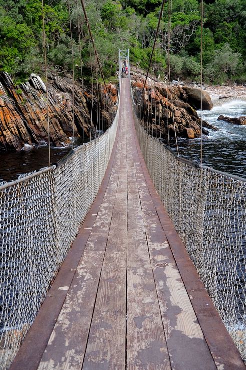 Suspension bridge in Tsitsikamma National Park