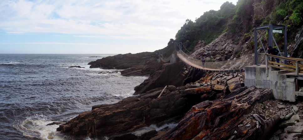 Suspension bridge in Tsitsikamma National Park