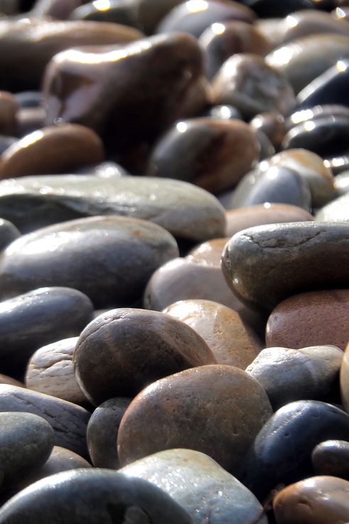 Pebbles in Tsitsikamma National Park