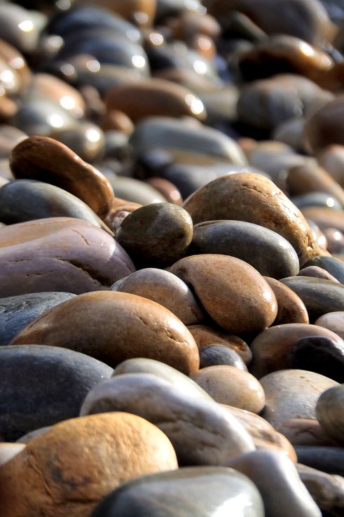 Pebbles in Tsitsikamma National Park