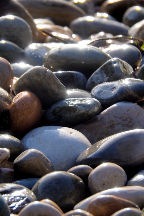 Pebbles in Tsitsikamma National Park