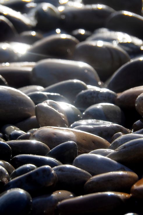 Pebbles in Tsitsikamma National Park