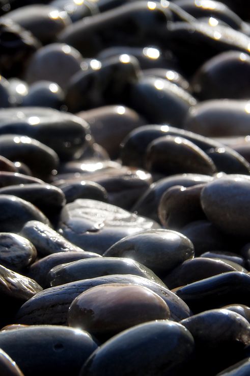 Pebbles in Tsitsikamma National Park
