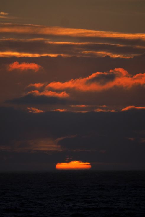 Dolphin Campsite in Tsitsikamma National Park