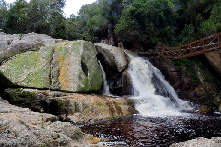 Randonnée de la rivière Touws à Wilderness