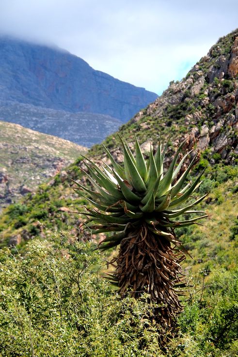 Afrique du Sud 2023