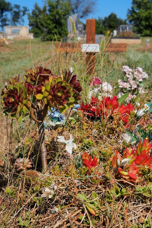 Cementerio de Swellendam