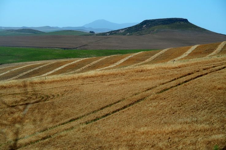 A lo largo de la Carretera R319
