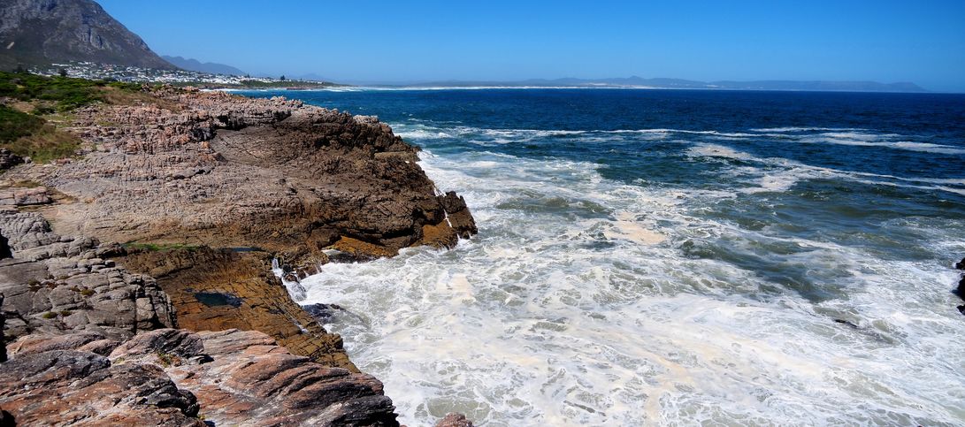 Costa de Hermanus