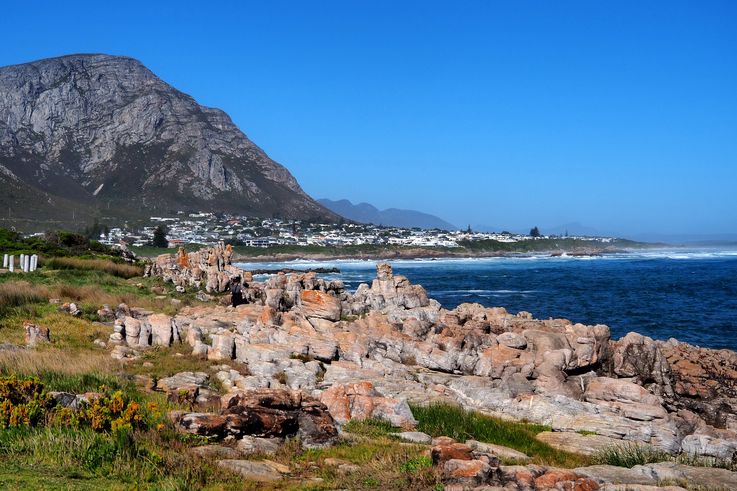 Hermanus