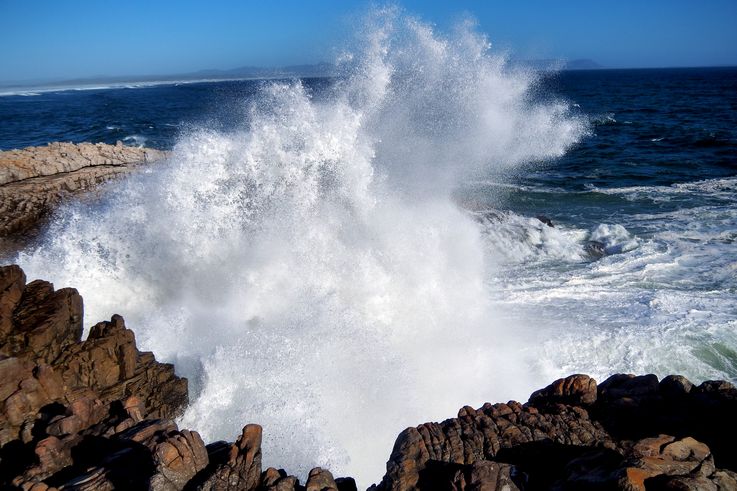 Hermanus