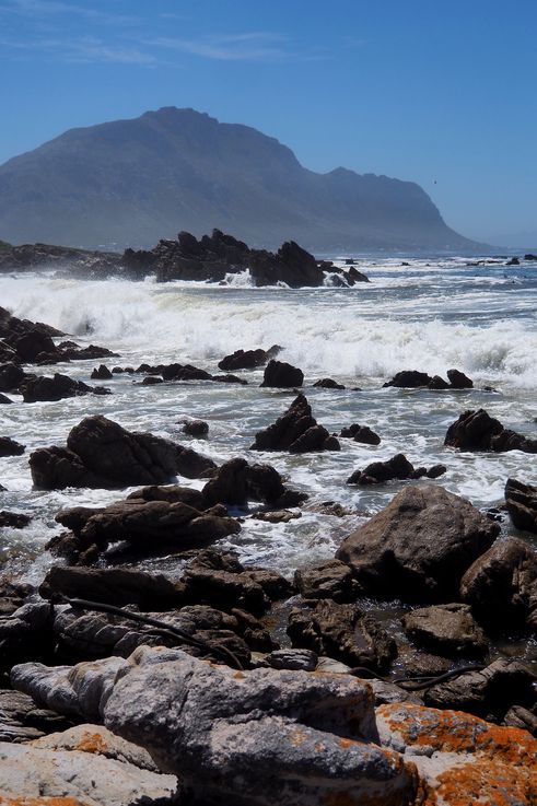 Stony Point en Bettys Bay