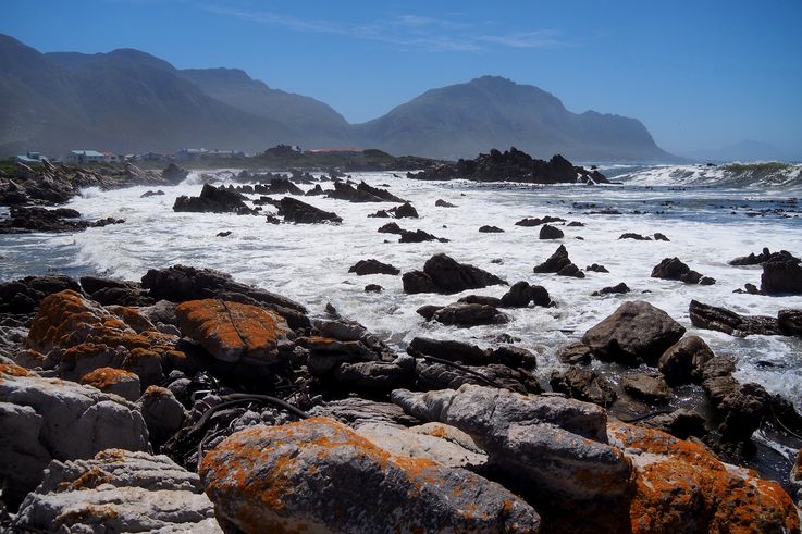 Stony Point en Bettys Bay