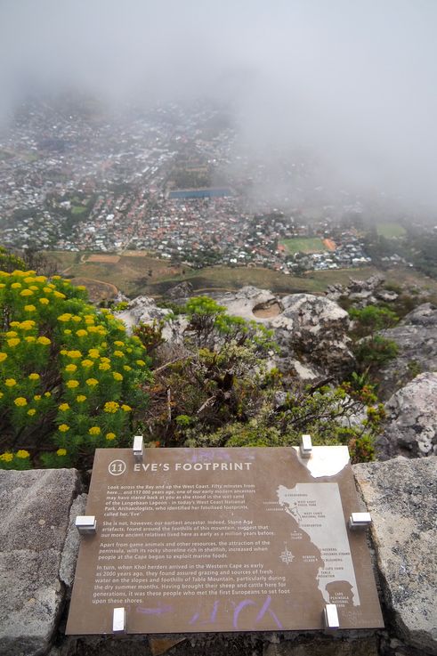 Table Mountain