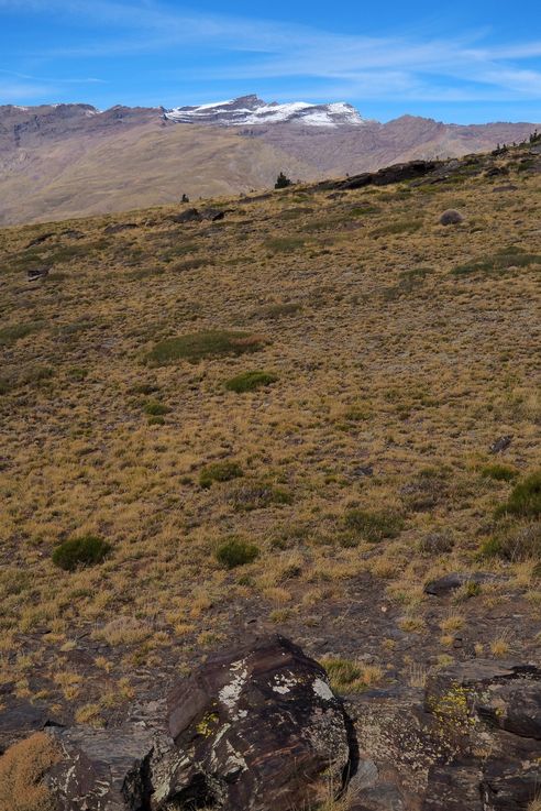 El Portillo Sierra Nevada Trail